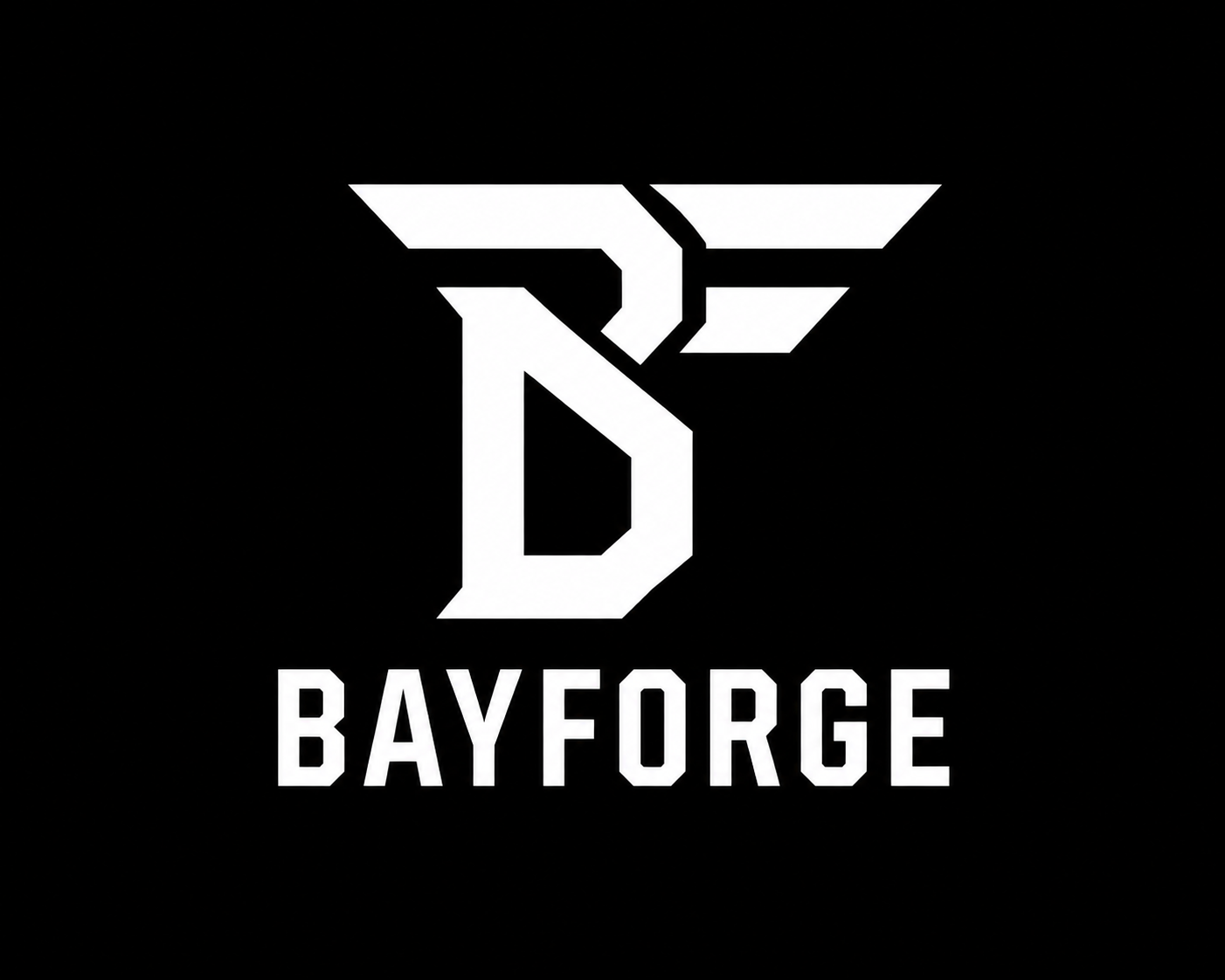 BayForge