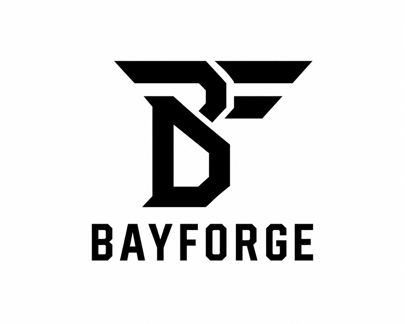 BayForge